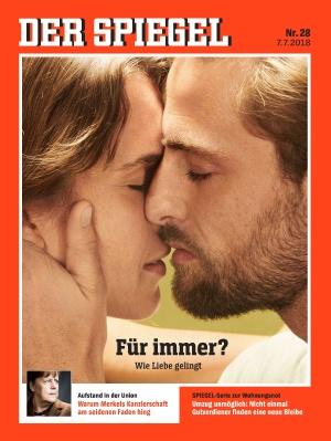 Spiegel Cover