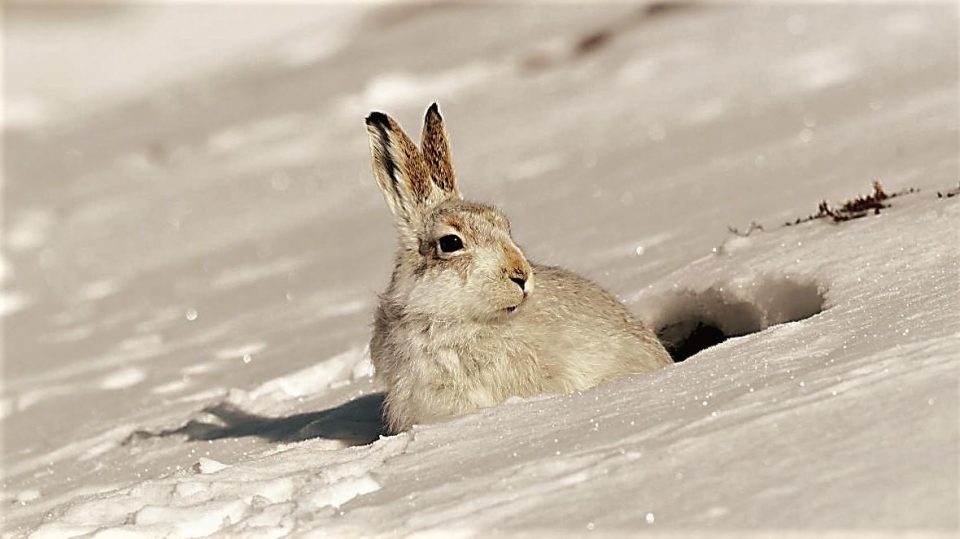 kältester April Klimawandel