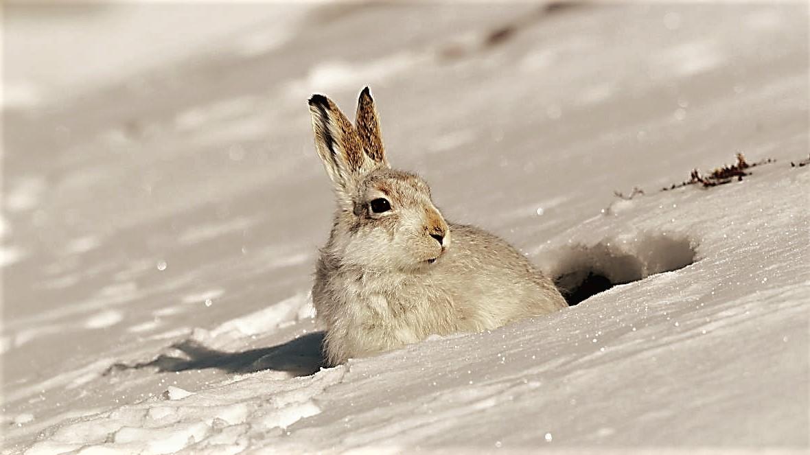 kältester April Klimawandel