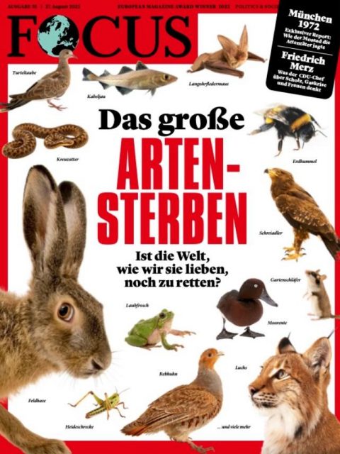 Focus Titelbild Artensterben