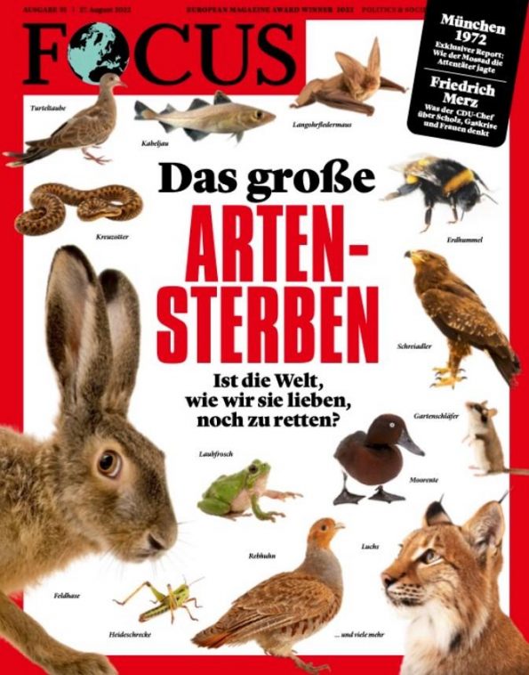 Focus Titelbild Artensterben