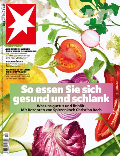 Stern Titelbild Erährung