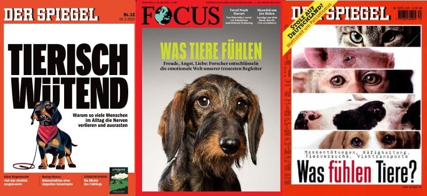 SPIEGEL vs. Focus – Zwillingstitelbilder Tiere