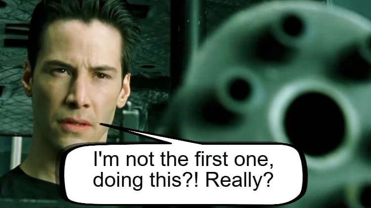 Matrix: Diese Szene ist aus True Lies geklaut